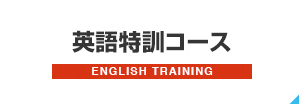 banner_en_training